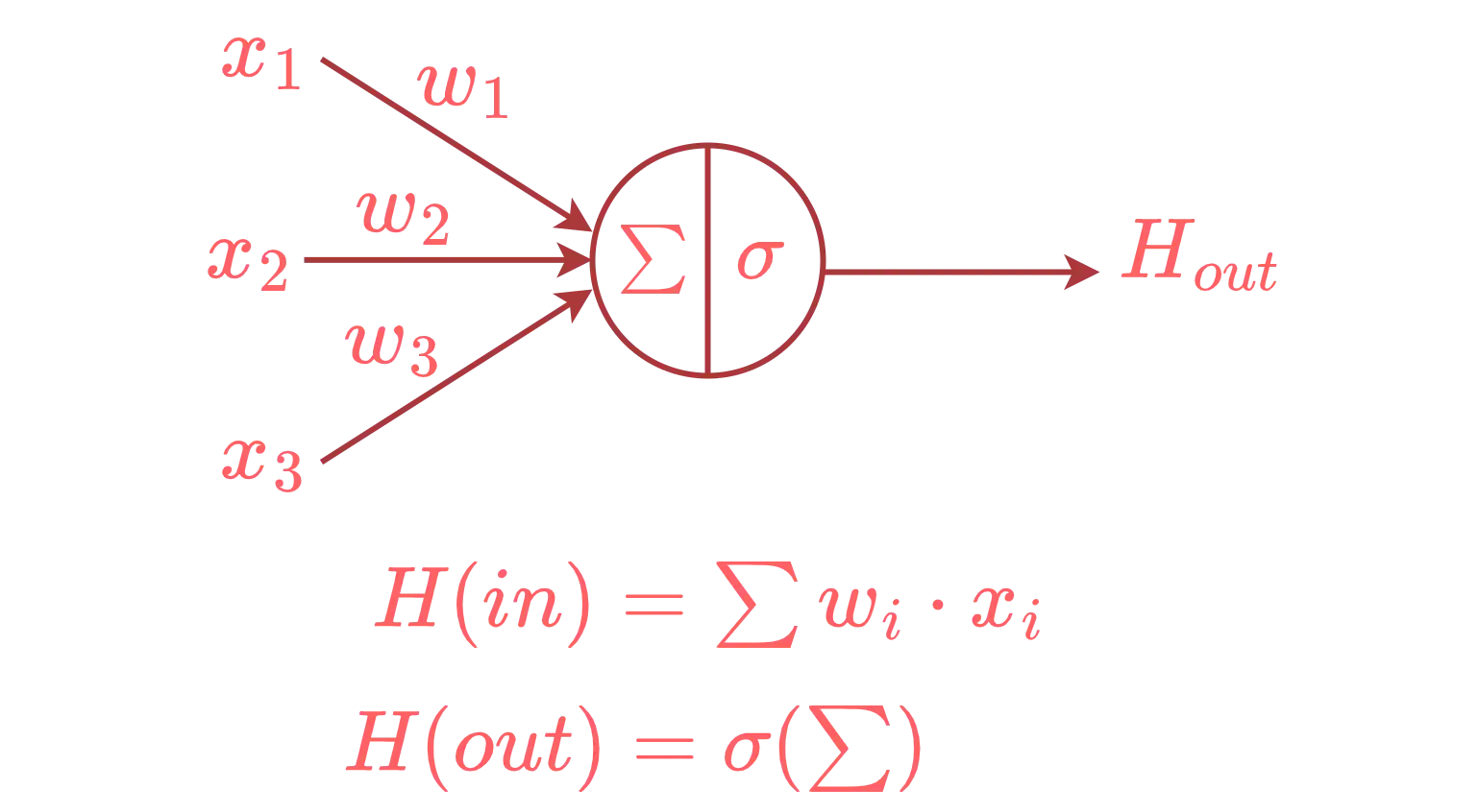 neuron diagram